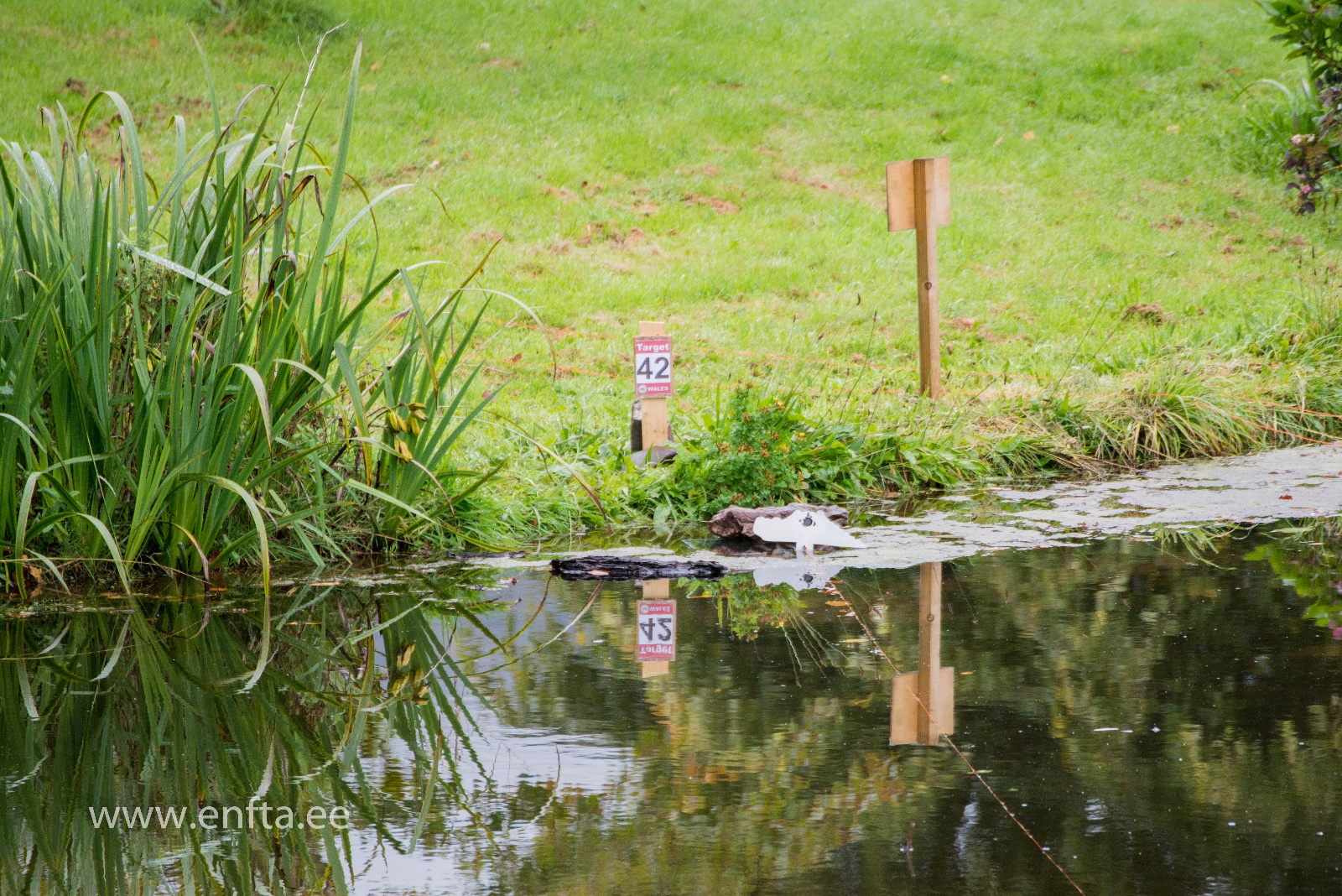 573 Did you get the croco